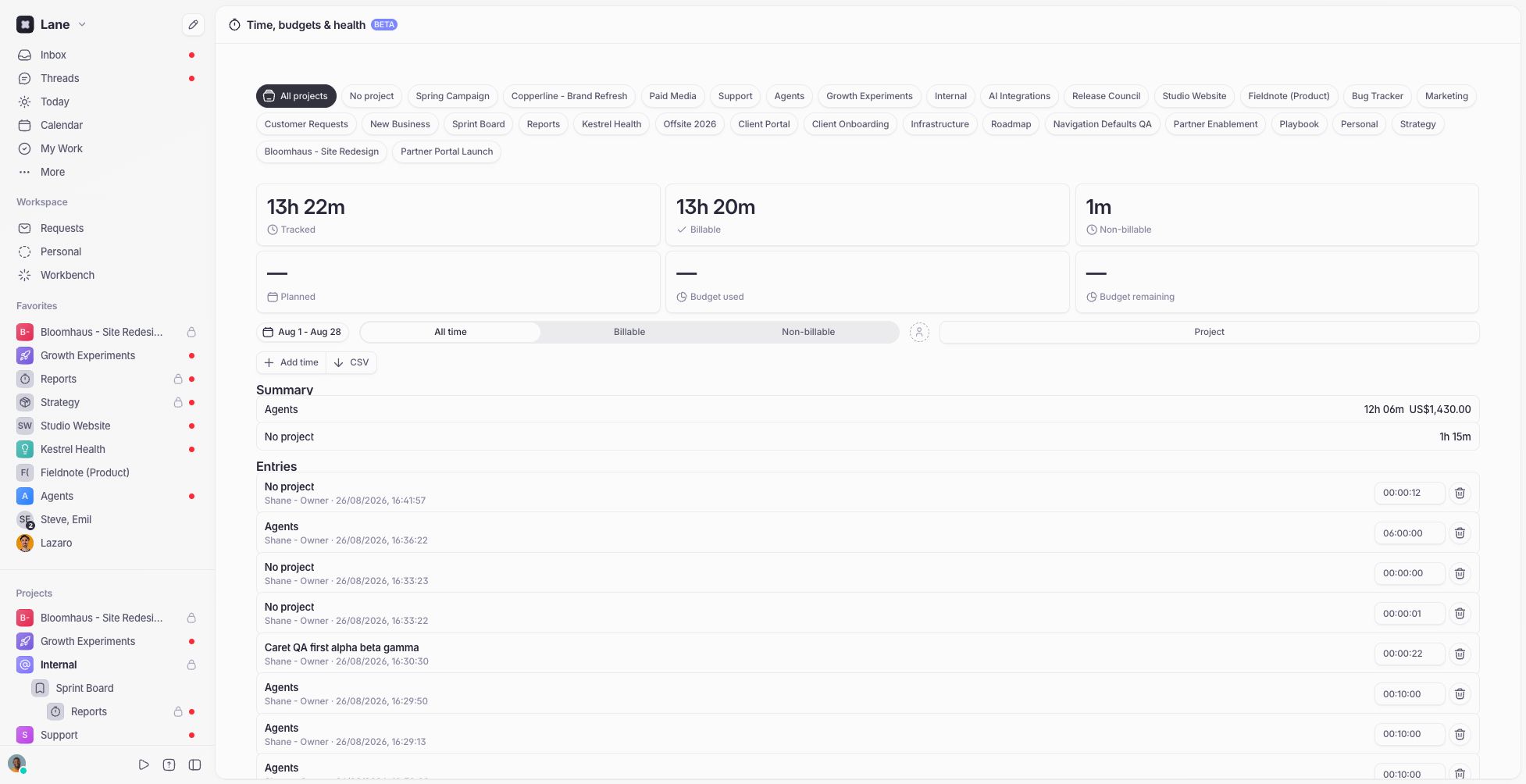 The workspace Time page showing tracked totals, project filters, summary groups, and individual time entries.